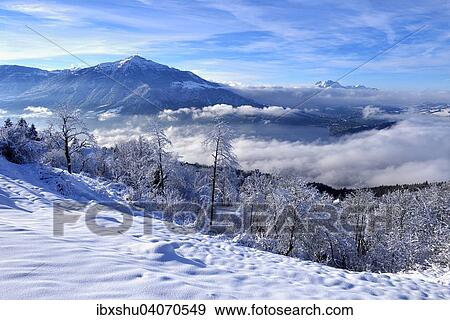 Sicht vom Zugerberg auf den Rigi und den Pilatus, mit verschneiten Baumen vorn, Kanton Zug, Schweiz, Europa View Large Photo Image Stock Photo - Sicht vom Zugerberg auf den Rigi und den Pilatus, mit verschneiten Baumen vorn, Kanton Zug, Schweiz, Europa. Fotosearch