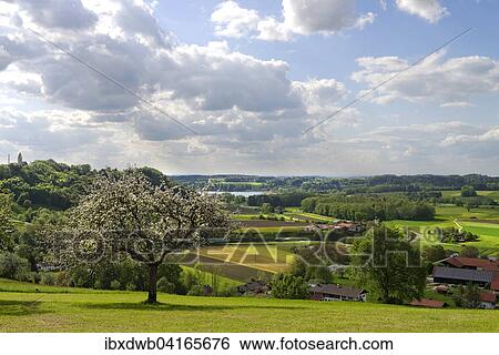Stock Photograph - Simssee und Thalkirchen, Bad Endorf von der Ratzinger Hohe, Chiemgau, Oberbayern, Bayern, Deutschland, Europa. Fotosearch