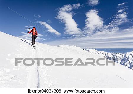 Skitourengeher beim Aufstieg durch das Lagauntal auf den Stotz bei Kurzras im Schnalstal, hier auf dem Gipfelgrat, Sudtirol, Schnals, Trentino-Sudtirol, Italien, Europa View Large Photo Image Stock Photograph - Skitourengeher beim Aufstieg durch das Lagauntal auf den Stotz bei Kurzras im Schnalstal, hier auf dem Gipfelgrat, Sudtirol, Schnals, Trentino-Sudtirol, Italien, Europa. Fotosearch