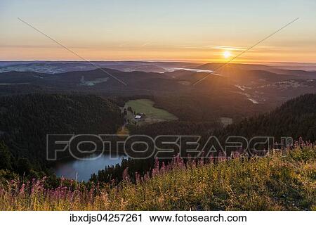 Sonnenaufgang, Ausblick zum Feldsee nach Osten vom Feldberg, Schwarzwald, Baden-Wurttemberg, Deutschland, Europa View Large Photo Image Stock Image - Sonnenaufgang, Ausblick zum Feldsee nach Osten vom Feldberg, Schwarzwald, Baden-Wurttemberg, Deutschland, Europa. Fotosearch