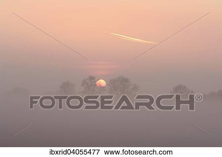 Stock Photo - Sonnenaufgang mit Baumen und Nebel, Rheinberg, Niederrhein, Nordrhein-Westfalen, Deutschland, Europa. Fotosearch