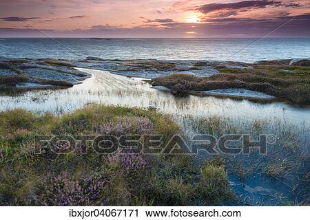 Sonnenuntergang, Abendstimmung am Kustenabschnitt bei Smogen, Provinz Bohuslan, Vastra Gotalands lan, Schweden, Europa View Large Photo Image Stock Image - Sonnenuntergang, Abendstimmung am Kustenabschnitt bei Smogen, Provinz Bohuslan, Vastra Gotalands lan, Schweden, Europa. Fotosearch