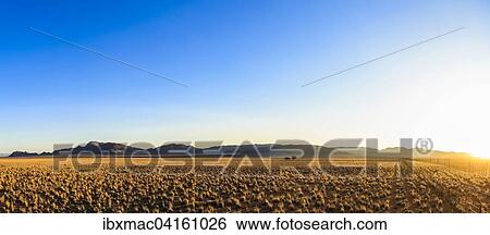 Sonnenuntergang auf Farm Tiras, Tirasberge, Namibia, Afrika View Large Photo Image Stock Photograph - Sonnenuntergang auf Farm Tiras, Tirasberge, Namibia, Afrika. Fotosearch