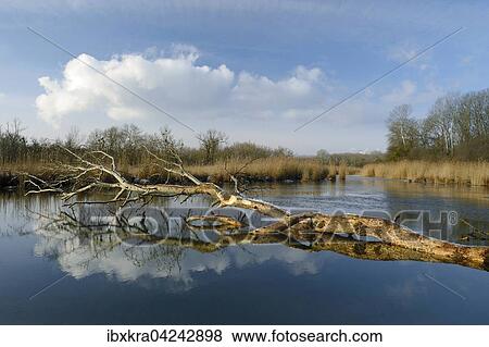 Stock Photo - Sonnige Winterstimmung, Gross-Enzersdorf, Niederosterreich, Osterreich, Europa. Fotosearch