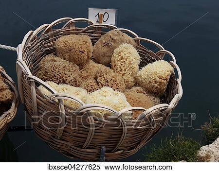 Souvenirstand mit Schwammen (Porifera), Souvenir, Chania, Kreta, Griechenland, Europa View Large Photo Image Stock Photography - Souvenirstand mit Schwammen (Porifera), Souvenir, Chania, Kreta, Griechenland, Europa. Fotosearch