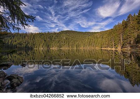 Stock Image - Spiegelung mit Wolken am Teufelssee im Herbst, Certovo jezero, Nationalpark Sumava, Bohmerwald, Tschechien, Europa. Fotosearch