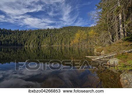 Spiegelung mit Wolken am Teufelssee im Herbst, Certovo jezero, Nationalpark Sumava, Bohmerwald, Tschechien, Europa View Large Photo Image Stock Image - Spiegelung mit Wolken am Teufelssee im Herbst, Certovo jezero, Nationalpark Sumava, Bohmerwald, Tschechien, Europa. Fotosearch