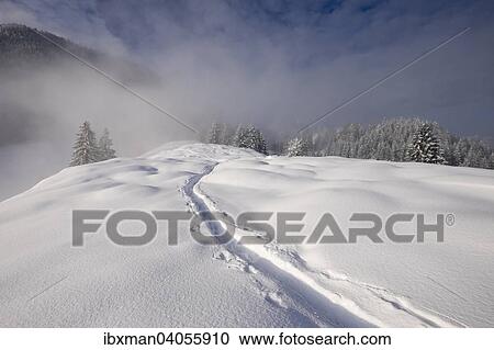 Spuren im Schnee, Hocheck, Mangfallgebirge, bei Oberaudorf, Oberbayern, Bayern, Deutschland, Europa View Large Photo Image Stock Image - Spuren im Schnee, Hocheck, Mangfallgebirge, bei Oberaudorf, Oberbayern, Bayern, Deutschland, Europa. Fotosearch