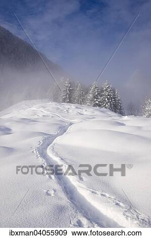 Spuren im Schnee, Hocheck, Mangfallgebirge, bei Oberaudorf, Oberbayern, Bayern, Deutschland, Europa View Large Photo Image Stock Photo - Spuren im Schnee, Hocheck, Mangfallgebirge, bei Oberaudorf, Oberbayern, Bayern, Deutschland, Europa. Fotosearch