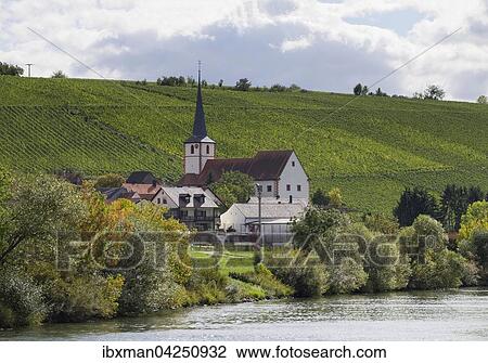 Stammheim am Main mit Weinberge am Stammheimer Eselsberg, Gemeinde Kolitzheim, Mainfranken, Unterfranken, Franken, Bayern, Deutschland, Europa View Large Photo Image Stock Image - Stammheim am Main mit Weinberge am Stammheimer Eselsberg, Gemeinde Kolitzheim, Mainfranken, Unterfranken, Franken, Bayern, Deutschland, Europa. Fotosearch