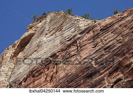 Picture - Steilwand, Sandsteinfelsen, Zion Nationalpark, Utah, USA, Nordamerika. Fotosearch