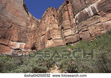 Steilwande aus Sandstein, Emerald Pools Trail, Zion Nationalpark, Utah, USA, Nordamerika View Large Photo Image Stock Image - Steilwande aus Sandstein, Emerald Pools Trail, Zion Nationalpark, Utah, USA, Nordamerika. Fotosearch