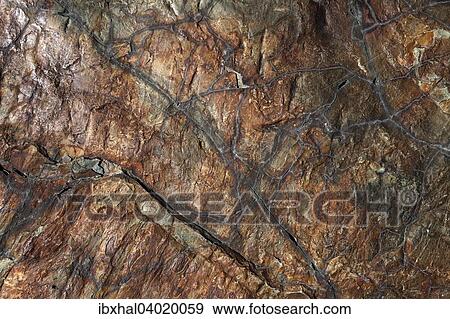 Stock Photo - Stein, Fels, Detail, Strukturen, Glacier Nationalpark, Montana, USA, Nordamerika. Fotosearch