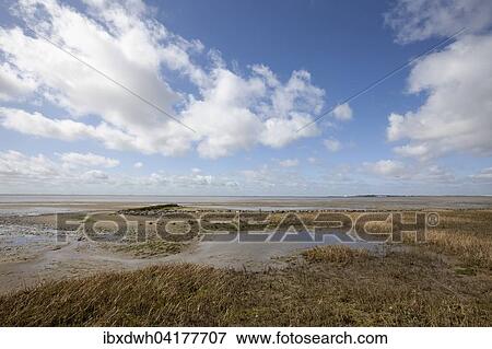 Strand, Nationalpark Niedersachsisches Wattenmeer, Wangerooge, Ostfriesische Insel, Ostfriesland, Niedersachsen, Deutschland, Europa View Large Photo Image Stock Photo - Strand, Nationalpark Niedersachsisches Wattenmeer, Wangerooge, Ostfriesische Insel, Ostfriesland, Niedersachsen, Deutschland, Europa. Fotosearch