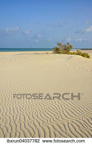 Strand von Amak, Insel Sokotra, Jemen, Asien View Large Photo Image Stock Image - Strand von Amak, Insel Sokotra, Jemen, Asien. Fotosearch