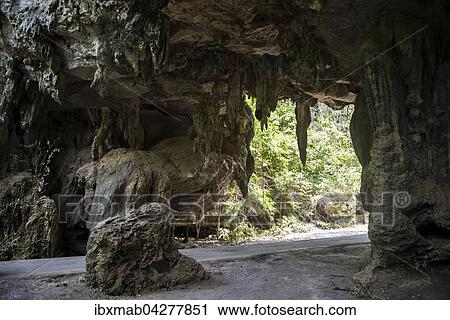 Strasse durch eine Hohle, Tropfsteinhohle im Dschungel, Taman Negara Nationalpark, Jerantut, Pahang, Malaysia, Asien View Large Photo Image Stock Image - Strasse durch eine Hohle, Tropfsteinhohle im Dschungel, Taman Negara Nationalpark, Jerantut, Pahang, Malaysia, Asien. Fotosearch