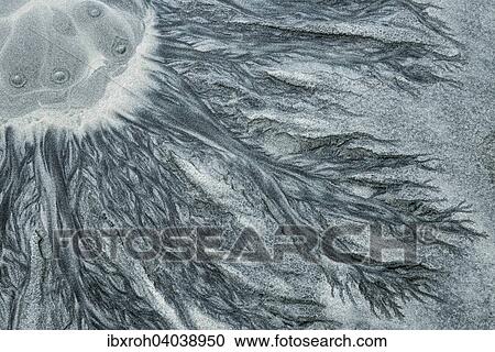 Stock Image - Strukturen im Sand, Lofoten, Norwegen, Europa. Fotosearch