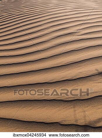 Strukturen im Sand, Namib Wuste, Namibia, Afrika View Large Photo Image Picture - Strukturen im Sand, Namib Wuste, Namibia, Afrika. Fotosearch