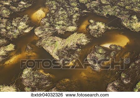 Stock Photograph - Susswassersumpfe mit sandigen Flussarmen und Inseln, Luftaufnahme, Okavango Delta, Botswana, Afrika. Fotosearch