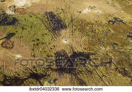 Susswassersumpfe mit Tierpfaden und Termitenhugel, Luftaufnahme, Okavango Delta, Botswana, Afrika View Large Photo Image Stock Photograph - Susswassersumpfe mit Tierpfaden und Termitenhugel, Luftaufnahme, Okavango Delta, Botswana, Afrika. Fotosearch