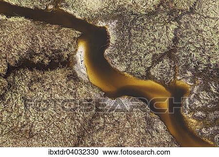 SusswSusswassersumpfe mit sandigen Flussarmen und Inseln, Luftaufnahme, Okavango Delta, Botswana, Afrika View Large Photo Image Stock Image - SusswSusswassersumpfe mit sandigen Flussarmen und Inseln, Luftaufnahme, Okavango Delta, Botswana, Afrika. Fotosearch