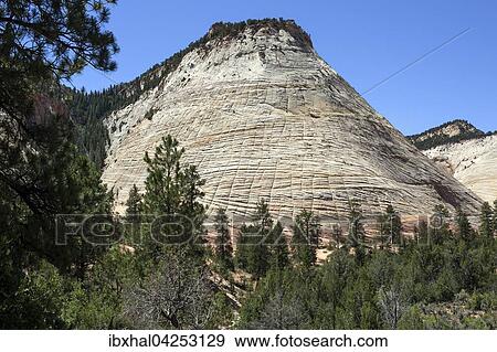 Tafelberg Checkerboard Mesa, Zion Nationalpark, Utah, USA, Nordamerika View Large Photo Image Stock Photo - Tafelberg Checkerboard Mesa, Zion Nationalpark, Utah, USA, Nordamerika. Fotosearch