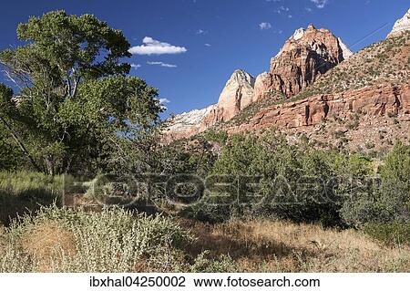 Stock Image - Tal des North Fork Virgin River und Sandsteinfelsen, Zion Nationalpark, Utah, USA, Nordamerika. Fotosearch