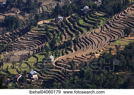 Terrassenanbau, Feldterrassen, bei Nagarkot, Nepal, Asien View Large Photo Image Stock Photo - Terrassenanbau, Feldterrassen, bei Nagarkot, Nepal, Asien. Fotosearch