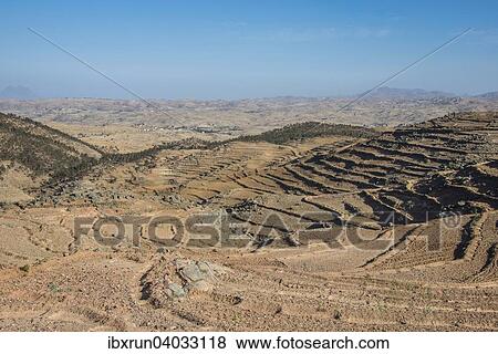Stock Photo - Terrassenfelder, Filfil, Eritrea, Afrika. Fotosearch
