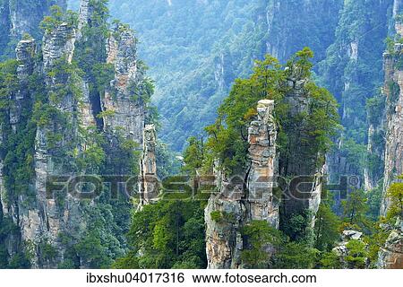 Tianzishan Berg mit senkrechten Felssaulen aus Quarzsandstein, Zhangjiajie Nationalpark, Provinz Hunan, China, Asien View Large Photo Image Stock Photograph - Tianzishan Berg mit senkrechten Felssaulen aus Quarzsandstein, Zhangjiajie Nationalpark, Provinz Hunan, China, Asien. Fotosearch