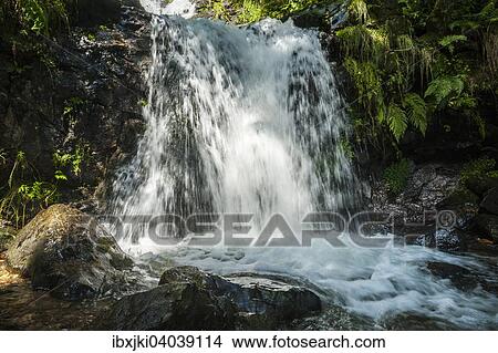 Todtnauer Wasserfalle, Oberer Wasserfall, Todtnau, Schwarzwald, Baden-Wurttemberg, Deutschland, Europa View Large Photo Image Picture - Todtnauer Wasserfalle, Oberer Wasserfall, Todtnau, Schwarzwald, Baden-Wurttemberg, Deutschland, Europa. Fotosearch