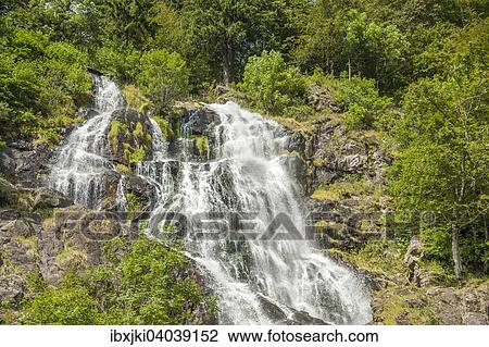 Todtnauer Wasserfalle, Todtnau, Schwarzwald, Baden-Wurttemberg, Deutschland, Europa View Large Photo Image Stock Image - Todtnauer Wasserfalle, Todtnau, Schwarzwald, Baden-Wurttemberg, Deutschland, Europa. Fotosearch