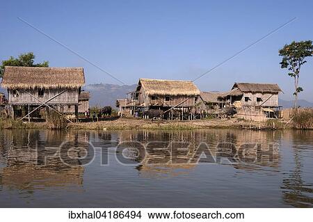 Traditionelle Stelzenhauser am Inle-See, Shan-Staat, Myanmar, Asien View Large Photo Image Picture - Traditionelle Stelzenhauser am Inle-See, Shan-Staat, Myanmar, Asien. Fotosearch