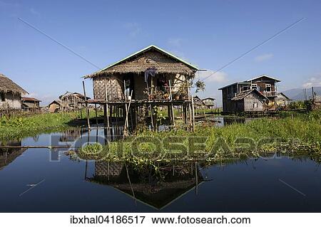 Traditionelle Stelzenhauser im Inle-See, Spiegelung im Wasser, Shan-Staat, Myanmar, Asien View Large Photo Image Stock Photo - Traditionelle Stelzenhauser im Inle-See, Spiegelung im Wasser, Shan-Staat, Myanmar, Asien. Fotosearch