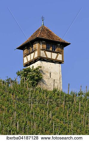 Turm am Lerchenberg, Winzerturm in den Weinbergen, bei Meersburg, Baden-Wurttemberg, Deutschland, Europa View Large Photo Image Stock Photo - Turm am Lerchenberg, Winzerturm in den Weinbergen, bei Meersburg, Baden-Wurttemberg, Deutschland, Europa. Fotosearch