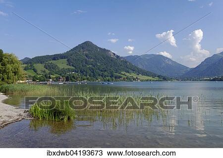 Ufer am Schliersee, Schliersee, Oberbayern, Bayern, Deutschland, Europa View Large Photo Image Stock Image - Ufer am Schliersee, Schliersee, Oberbayern, Bayern, Deutschland, Europa. Fotosearch