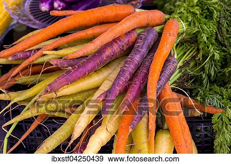 Verkauf von Wurzelgemuse auf dem Wochenmarkt, Santanyi, Mallorca, Balearen, Spanien, Europa View Large Photo Image Stock Photo - Verkauf von Wurzelgemuse auf dem Wochenmarkt, Santanyi, Mallorca, Balearen, Spanien, Europa. Fotosearch
