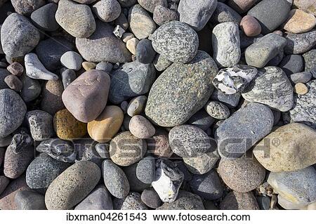 Verschiedene Kieselsteine an Ostsee-Strand, Ahrenshoop, Fischland, Fischland-Darss-Zingst, Mecklenburg-Vorpommern, Deutschland, Europa View Large Photo Image Stock Image - Verschiedene Kieselsteine an Ostsee-Strand, Ahrenshoop, Fischland, Fischland-Darss-Zingst, Mecklenburg-Vorpommern, Deutschland, Europa. Fotosearch