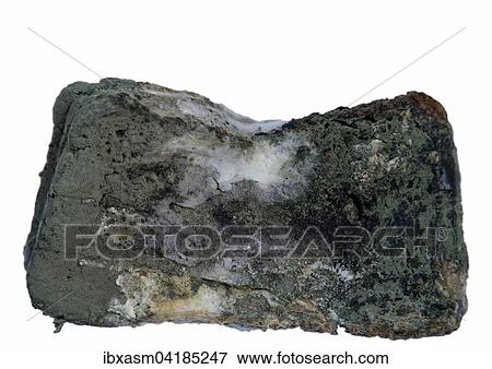 Verschimmeltes geschnittenes Brot View Large Photo Image Stock Photo - Verschimmeltes geschnittenes Brot. Fotosearch