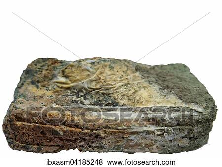 Stock Photo - Verschimmeltes geschnittenes Brot. Fotosearch