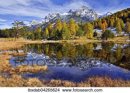 Verschneite Berge und herbstlicher Larchenwald spiegeln sich im Lai Nair, Schwarzsee, Tarasp, Engadin, Kanton Graubunden, Schweiz, Europa View Large Photo Image Picture - Verschneite Berge und herbstlicher Larchenwald spiegeln sich im Lai Nair, Schwarzsee, Tarasp, Engadin, Kanton Graubunden, Schweiz, Europa. Fotosearch