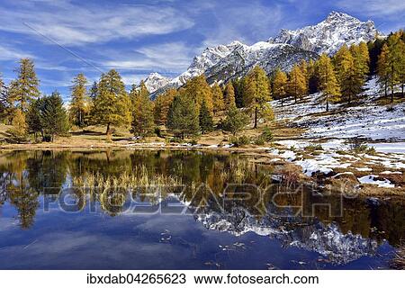 Verschneite Berge und herbstlicher Larchenwald spiegeln sich im Lai Nair, Schwarzsee, Tarasp, Engadin, Kanton Graubunden, Schweiz, Europa View Large Photo Image Stock Image - Verschneite Berge und herbstlicher Larchenwald spiegeln sich im Lai Nair, Schwarzsee, Tarasp, Engadin, Kanton Graubunden, Schweiz, Europa. Fotosearch