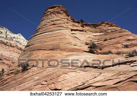 Versteinerte Sanddunen im Clear Creek am Zion-Mount Carmel Highway, Zion Nationalpark, Utah, USA, Nordamerika View Large Photo Image Stock Photo - Versteinerte Sanddunen im Clear Creek am Zion-Mount Carmel Highway, Zion Nationalpark, Utah, USA, Nordamerika. Fotosearch