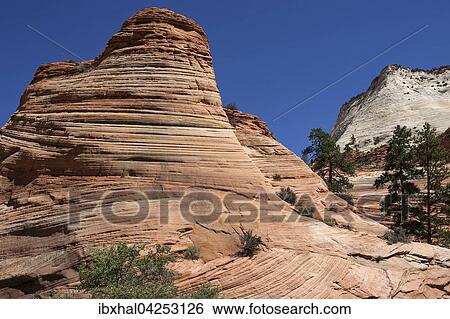 Stock Photograph - Versteinerte Sanddunen im Clear Creek am Zion-Mount Carmel Highway, Zion Nationalpark, Utah, USA, Nordamerika. Fotosearch