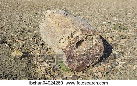 Stock Image - Versteinerter Wald Monumento Natural Bosques Petrificado, Sarmiento, Chubut, Argentinien, Sudamerika. Fotosearch