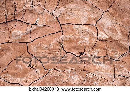 Stock Photo - Vertrocknete Erde, Trockenrisse im Boden, Capitol Reef Nationalpark, Utah, USA, Nordamerika. Fotosearch