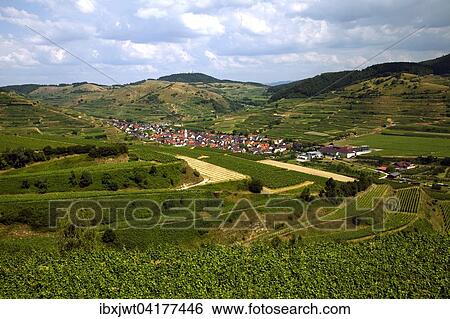Vom Aussichtspunkt Mondhalde nach Oberbergen, Vogtsburg, Kaiserstuhl, Schwarzwald, Baden-Wurttemberg, Deutschland, Europa View Large Photo Image Stock Photograph - Vom Aussichtspunkt Mondhalde nach Oberbergen, Vogtsburg, Kaiserstuhl, Schwarzwald, Baden-Wurttemberg, Deutschland, Europa. Fotosearch