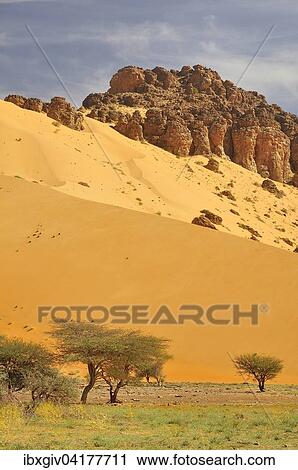 Von einer Sanddune fast zugedeckter Hugel, Strecke Atar nach Tidjikja, Region Adrar, Mauretanien, Afrika View Large Photo Image Stock Image - Von einer Sanddune fast zugedeckter Hugel, Strecke Atar nach Tidjikja, Region Adrar, Mauretanien, Afrika. Fotosearch