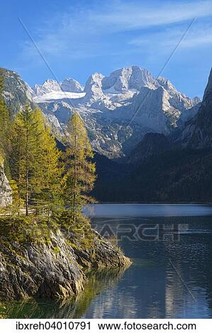 Vorderer Gosausee, hinten das Dachstein-Gebirge, Gosausee, Gosau, Oberosterreich, Osterreich, Europa View Large Photo Image Stock Image - Vorderer Gosausee, hinten das Dachstein-Gebirge, Gosausee, Gosau, Oberosterreich, Osterreich, Europa. Fotosearch