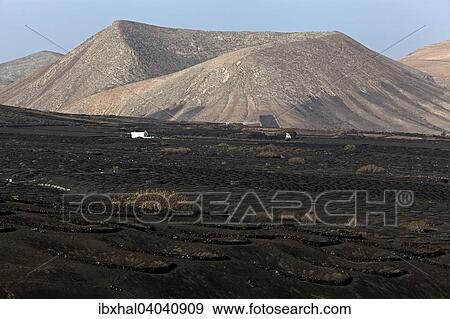 Vulkanlandschaft, Weinanbaugebiet, La Geria, bei Uga, Lanzarote, Kanarische Inseln, Spanien, Europa View Large Photo Image Stock Photo - Vulkanlandschaft, Weinanbaugebiet, La Geria, bei Uga, Lanzarote, Kanarische Inseln, Spanien, Europa. Fotosearch